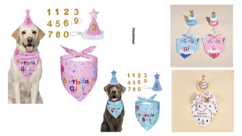 Birthday Party Hat & Bandana