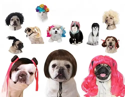 Pet Wig