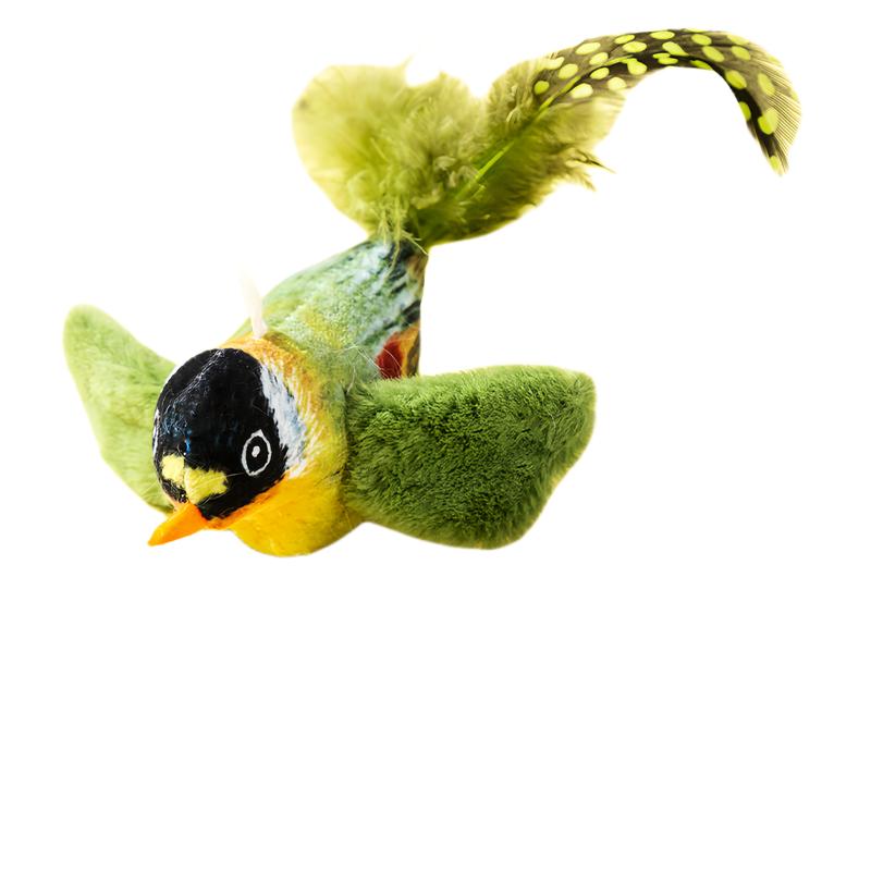 Curruca