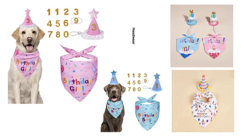 Sombrero de Cumpleaños&Pañuelo