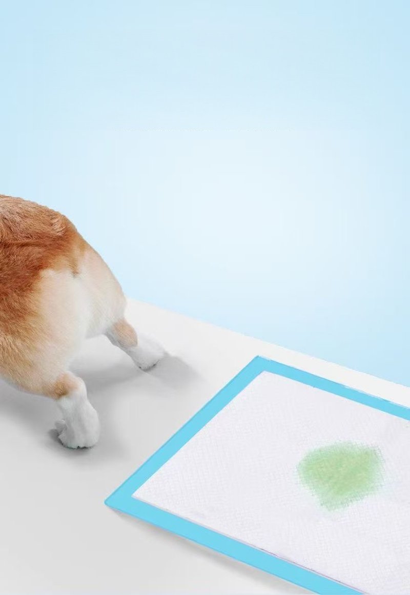 MascotaAlmohadilla Absorbente