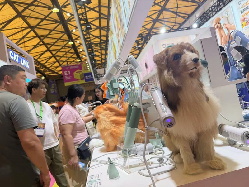 Stand de dispositivos inteligentes de aseo para mascotas, con un modelo de gato que demuestra un secador