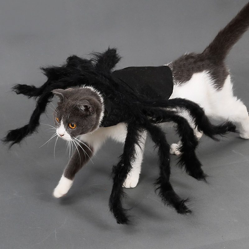 Halloween Pet Spider Costume