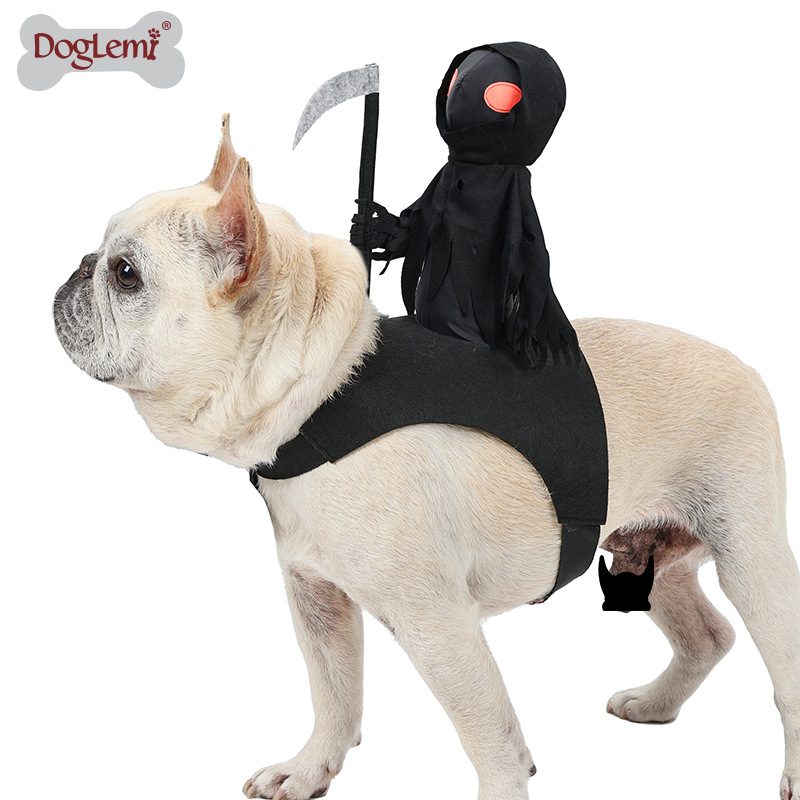 Halloween Funny Pet Costume